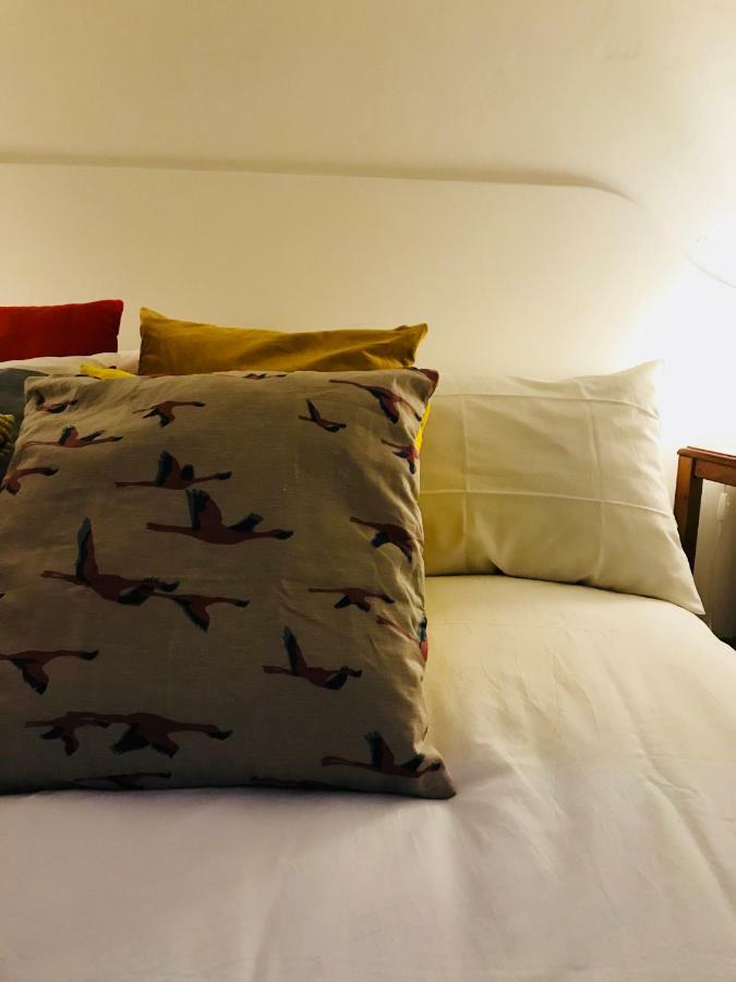 Moya Apartment Florenz